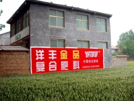 仙桃如何让墙体广告展现最大化效果
