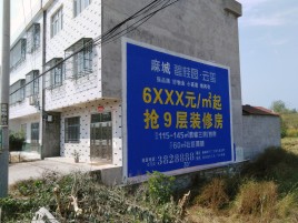 仙桃墙体广告质量分析