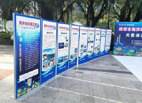 仙桃KT板的种类和知识。